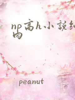 np高h小说纯肉