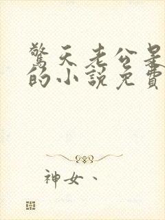 惊天老公是首富的小说免费阅读