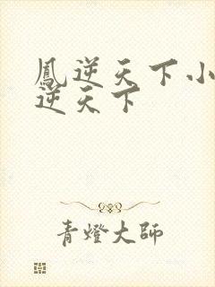 凤逆天下小说凤逆天下