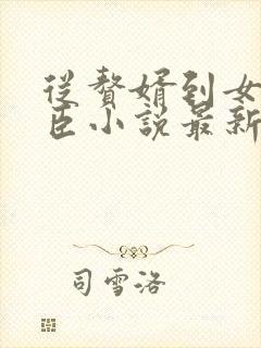 从赘婿到女帝宠臣小说最新章节阅读全文