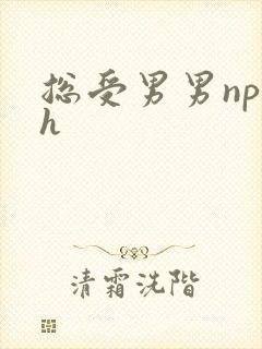 总受男男np高h
