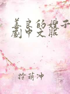 善良的嫂子2韩剧中文版