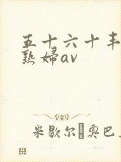 五十六十丰满老熟妇av