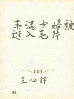 丰满少妇被猛烈进入毛片