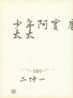 少年阿宾 房东太太