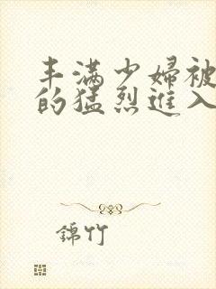 丰满少妇被粗大的猛烈进入