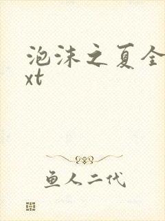 泡沫之夏全集txt