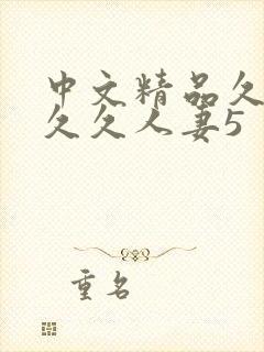 中文精品久久久久久人妻5