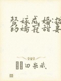 替嫁成婚:总裁的娇宠甜妻