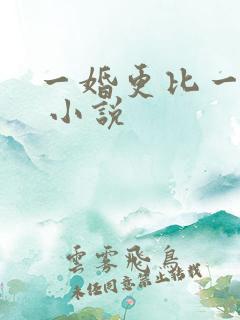 一婚更比一婚高 小说