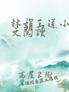 林娟王道小说全文阅读