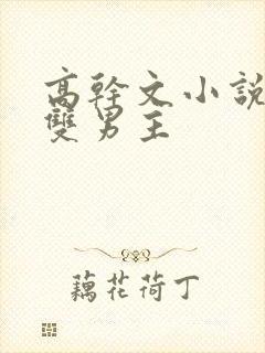 高干文小说推荐双男主