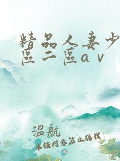 精品人妻少妇一区二区aⅴ