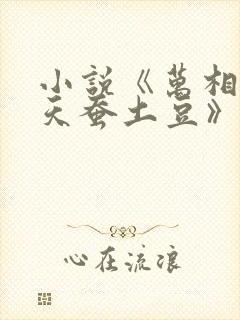 小说《万相之王天蚕土豆》