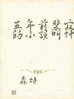 五年前裴寂桑晚的小说叫什么名字