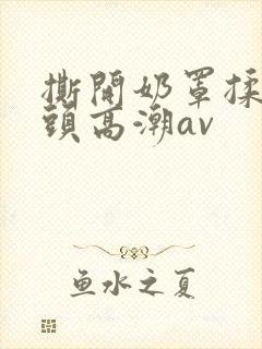 撕开奶罩揉吮奶头高潮av