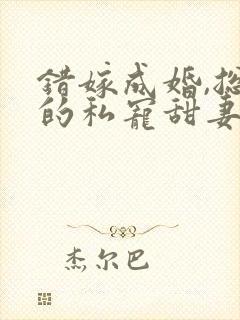 错嫁成婚,总裁的私宠甜妻