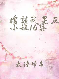 据说我是反派大小姐16集