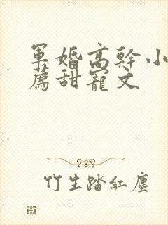 军婚高干小说推荐甜宠文