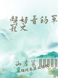 超好看的军婚甜宠文