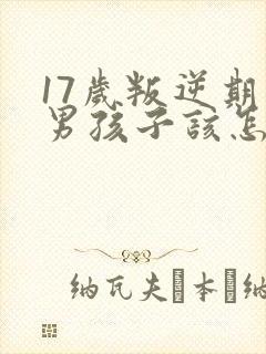 17岁叛逆期的男孩子该怎样去沟通教育