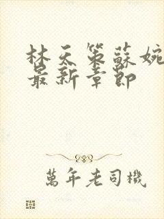 林天策苏婉小说最新章节