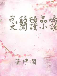 我的极品娇妻全文阅读小说