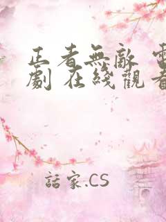 正者无敌 电视剧 在线观看