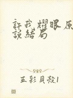 许我耀眼原著小说结局