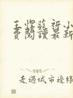 王悍苏祈小说免费阅读最新章节无弹窗