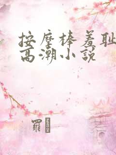 按摩棒羞耻调教高潮小说