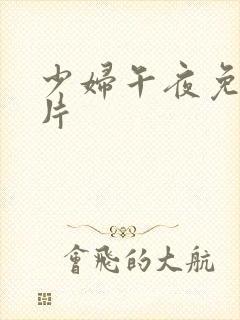 少妇午夜免费看片