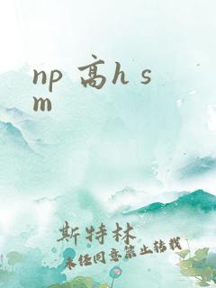 np 高h sm