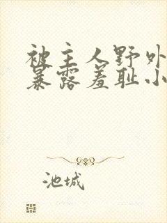 被主人野外调教暴露羞耻小说