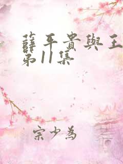 薛平贵与王宝钏第11集