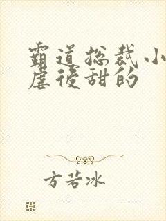 霸道总裁小说先虐后甜的