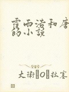 霍雨浩和唐舞桐的小说