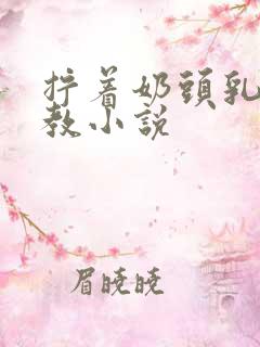 拧着奶头乳夹调教小说