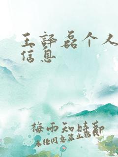 王译磊个人简介信息