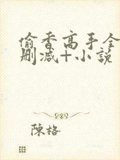 偷香高手全文无删减+小说