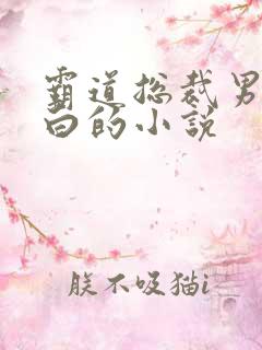 霸道总裁男主姓白的小说