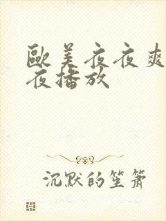 欧美夜夜爽爽午夜播放