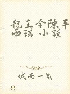 龙王令陈平,苏雨琪 小说