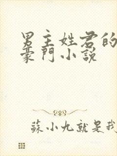 男主姓君的现代豪门小说