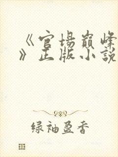 《官场巅峰李霖》正版小说