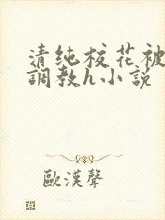 清纯校花被地狱调教h小说