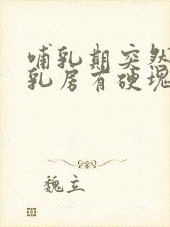 哺乳期突然一只乳房有硬块疼