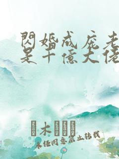 闪婚成庞老公竟是千亿大佬