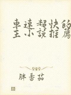 车速超快的双男主小说推荐