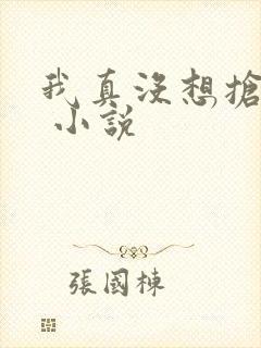 我真没想抢男主 小说